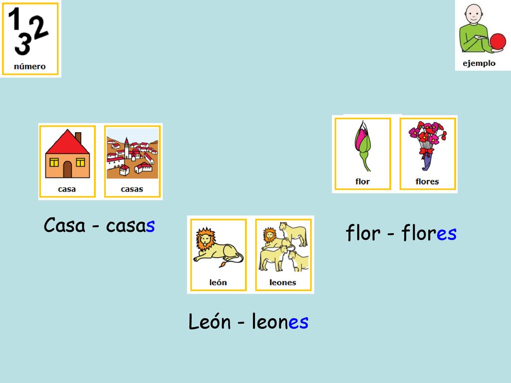 Casa - casas flor - flores León - leones
