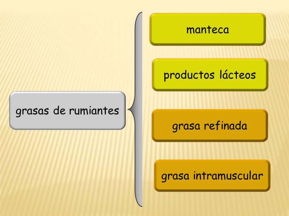 manteca productos lácteos grasas de rumiantes grasa refinada grasa intramuscular