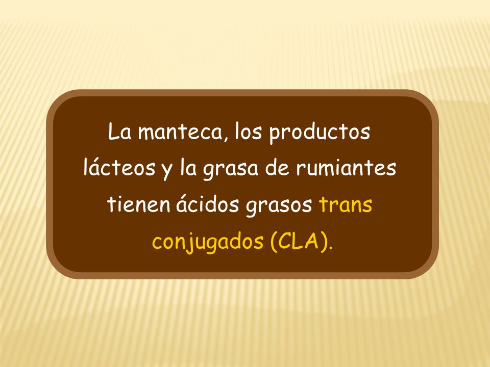 La manteca, los productos lácteos y la grasa de rumiantes