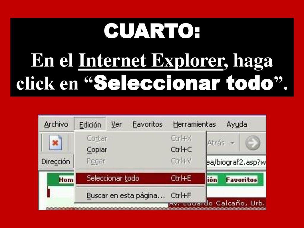 En el Internet Explorer, haga click en Seleccionar todo .