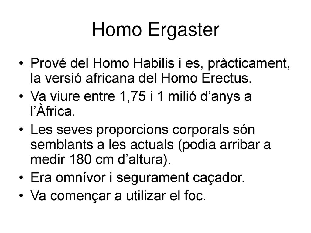 Homo Ergaster Prové del Homo Habilis i es, pràcticament, la versió africana del Homo Erectus. Va viure entre 1,75 i 1 milió d’anys a l’Àfrica.
