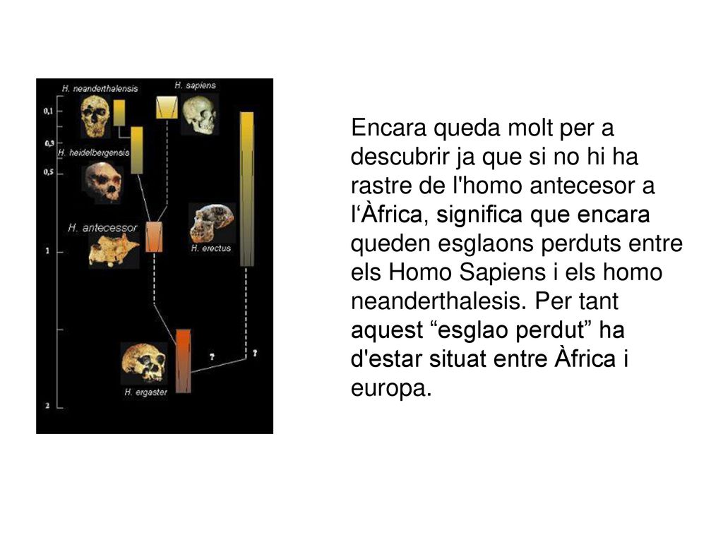 Encara queda molt per a descubrir ja que si no hi ha rastre de l homo antecesor a l‘Àfrica, significa que encara queden esglaons perduts entre els Homo Sapiens i els homo neanderthalesis.