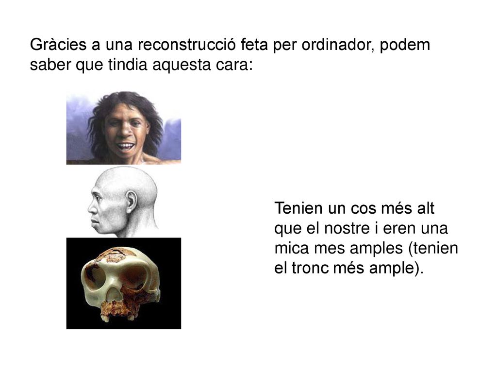 Gràcies a una reconstrucció feta per ordinador, podem saber que tindia aquesta cara: