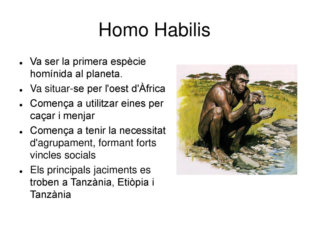 Homo Habilis Va ser la primera espècie homínida al planeta.