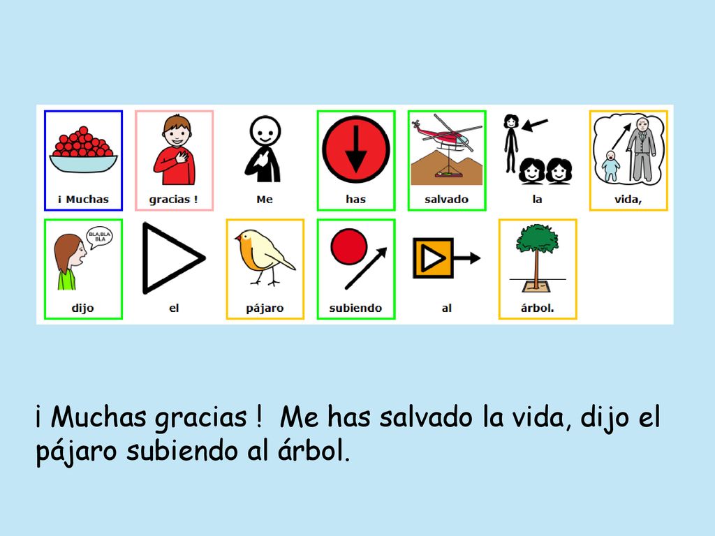 ¡ Muchas gracias ! Me has salvado la vida, dijo el pájaro subiendo al árbol.