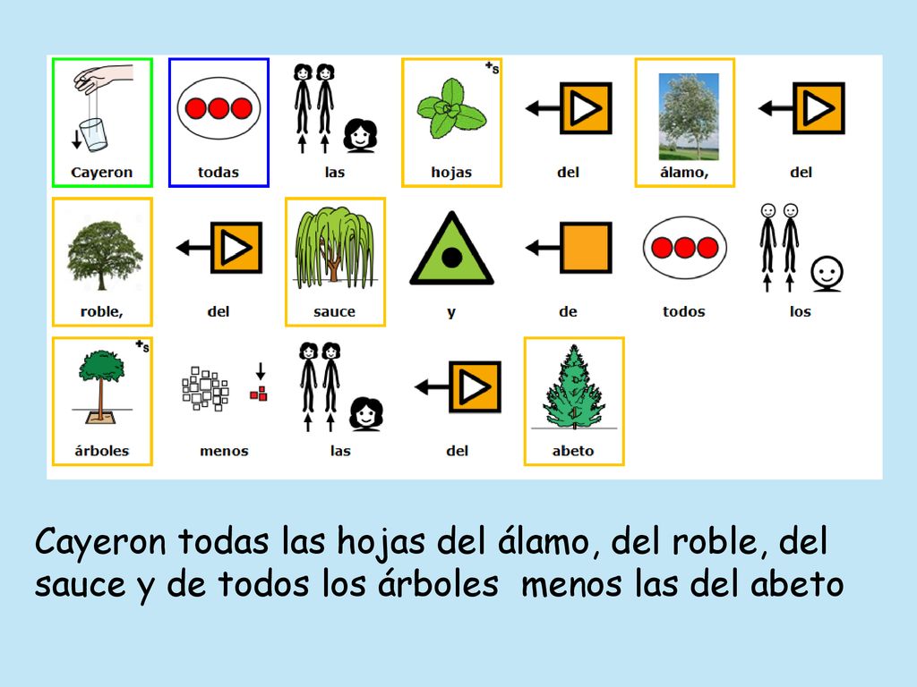 Cayeron todas las hojas del álamo, del roble, del sauce y de todos los árboles menos las del abeto