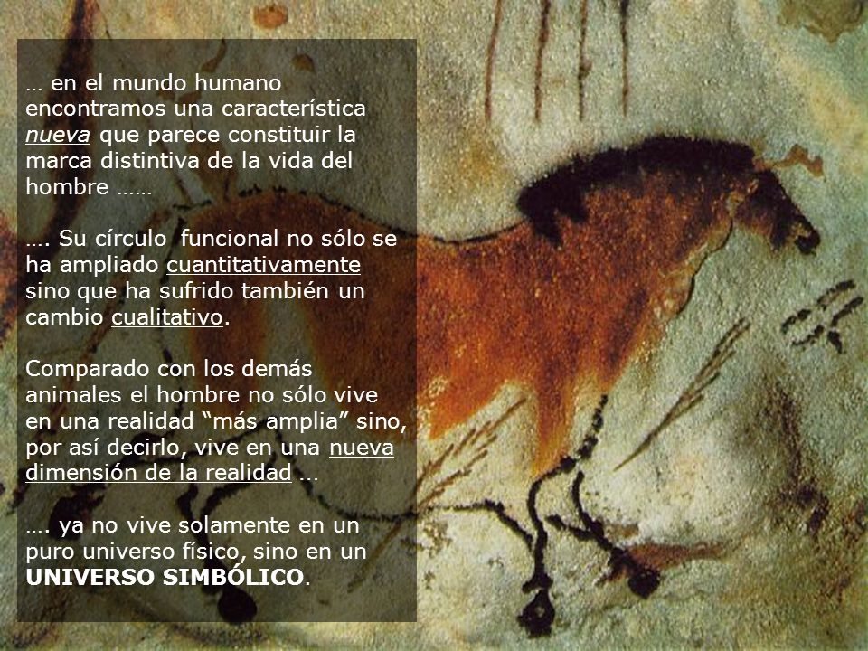 … en el mundo humano encontramos una característica nueva que parece constituir la marca distintiva de la vida del hombre ……