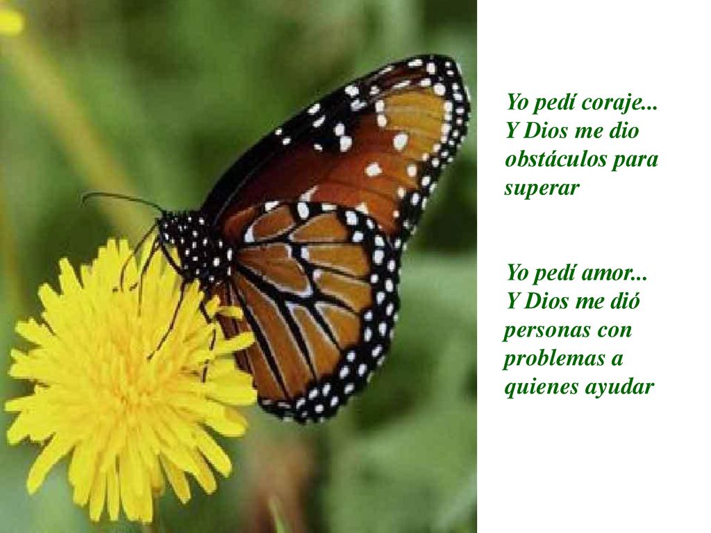 Yo pedí coraje... Y Dios me dio obstáculos para superar.