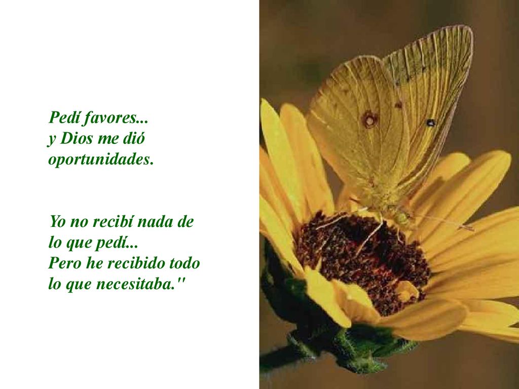 Pedí favores... y Dios me dió oportunidades. Yo no recibí nada de lo que pedí...