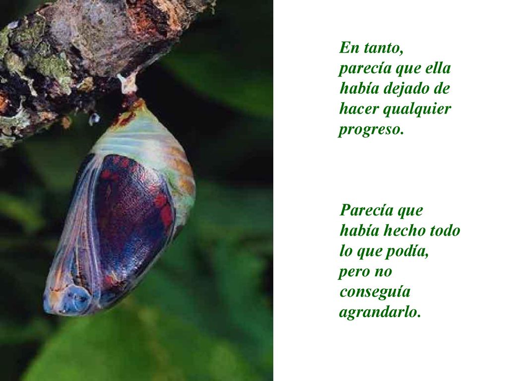En tanto, parecía que ella había dejado de hacer qualquier progreso.