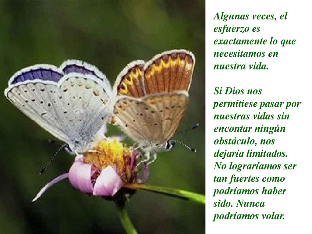 Algunas veces, el esfuerzo es exactamente lo que necesitamos en nuestra vida.