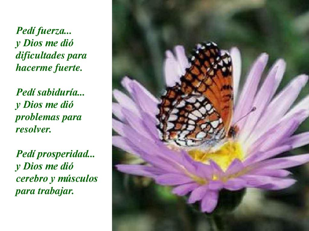 Pedí fuerza... y Dios me dió dificultades para hacerme fuerte. Pedí sabiduría... y Dios me dió problemas para resolver.
