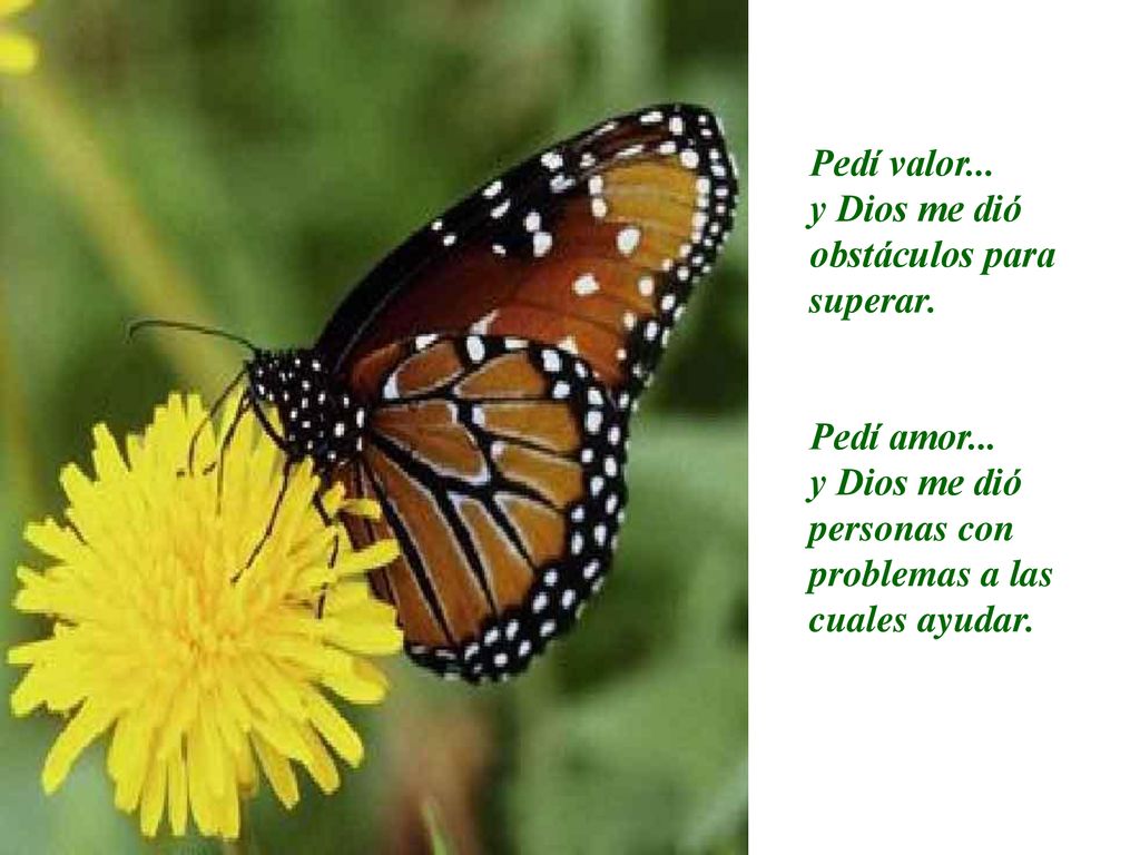 Pedí valor... y Dios me dió obstáculos para superar.