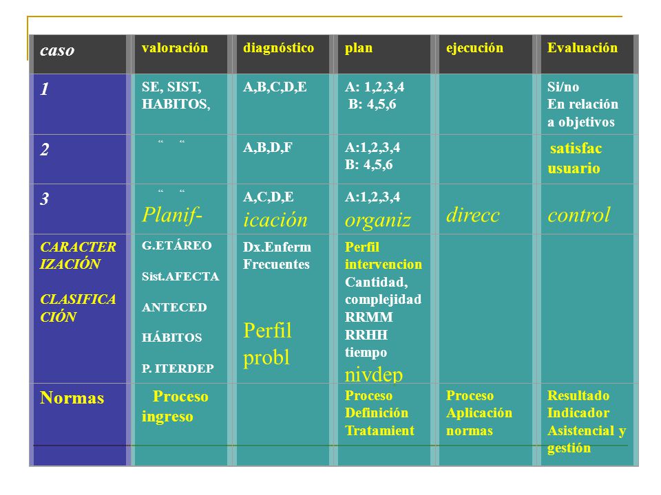 Planif- icación organiz direcc control Perfil probl nivdep caso 1 2 3