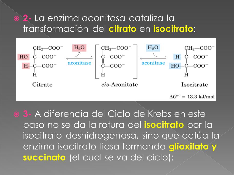 2- La enzima aconitasa cataliza la transformación del citrato en isocitrato: