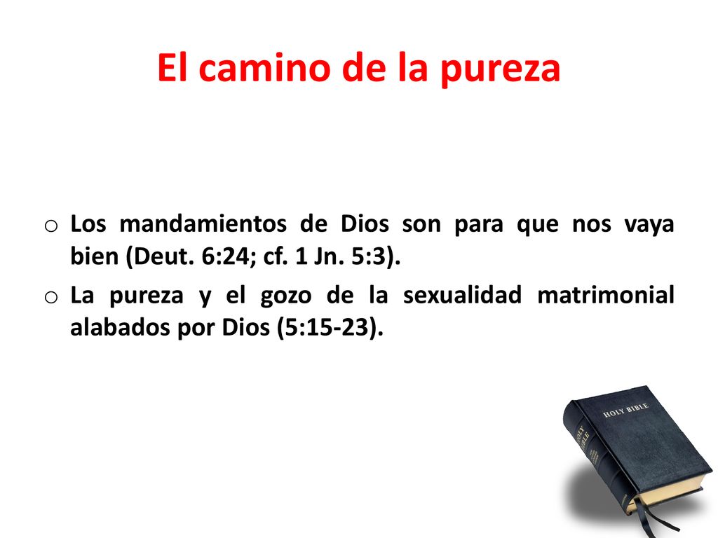 El camino de la pureza Los mandamientos de Dios son para que nos vaya bien (Deut. 6:24; cf. 1 Jn. 5:3).