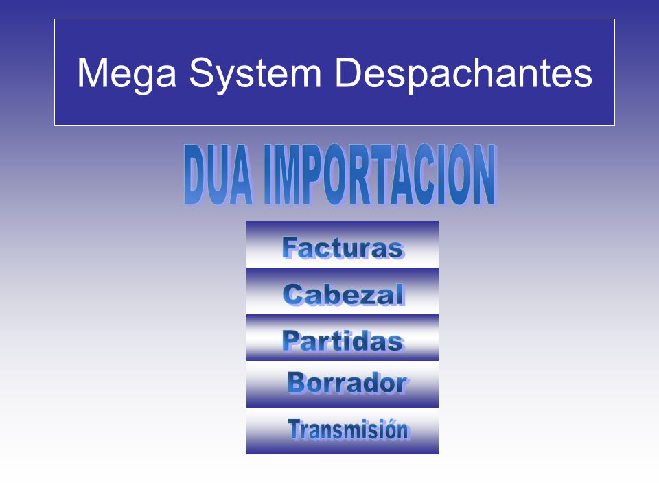 Mega System Despachantes