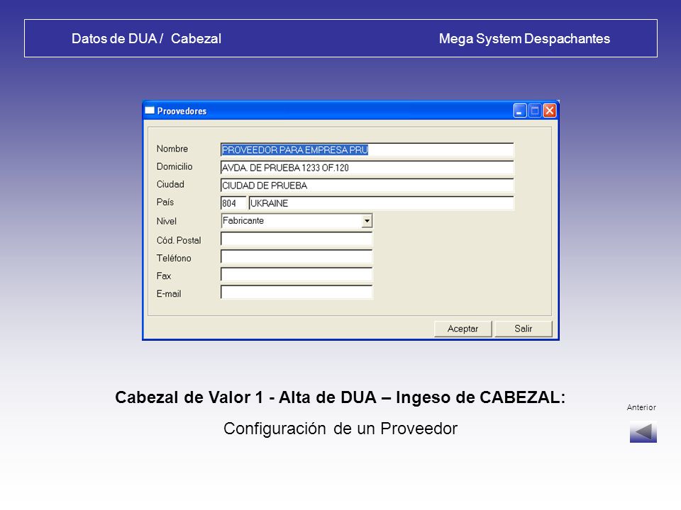 Datos de DUA / Cabezal Mega System Despachantes