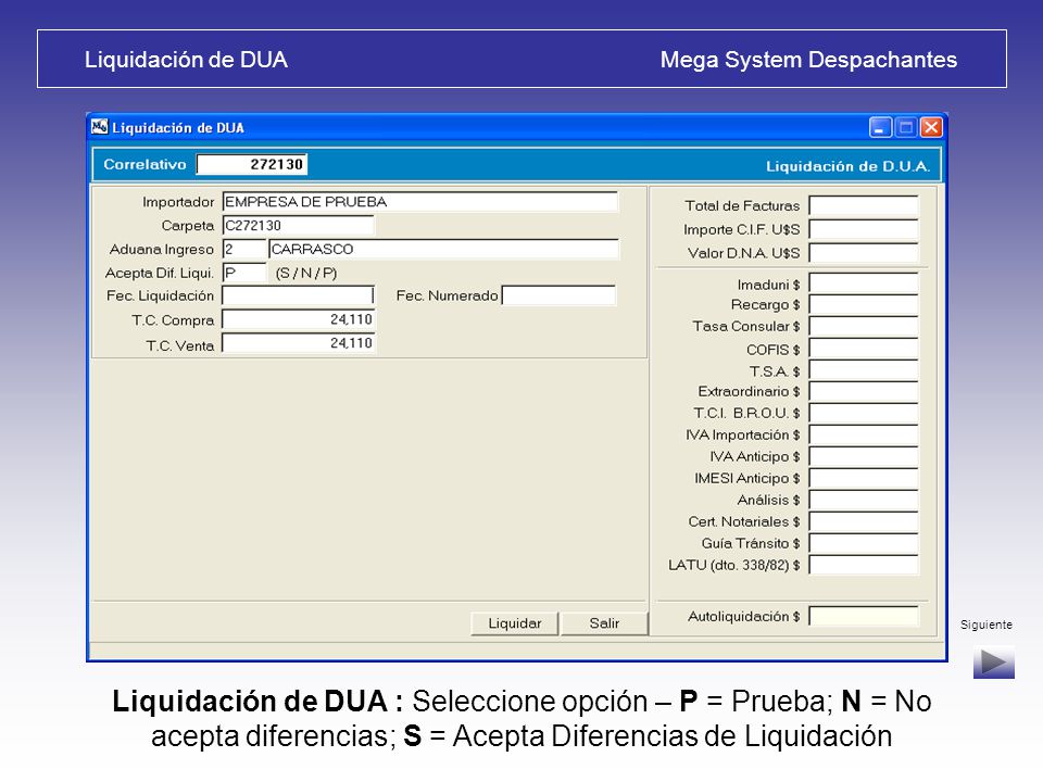 Liquidación de DUA Mega System Despachantes