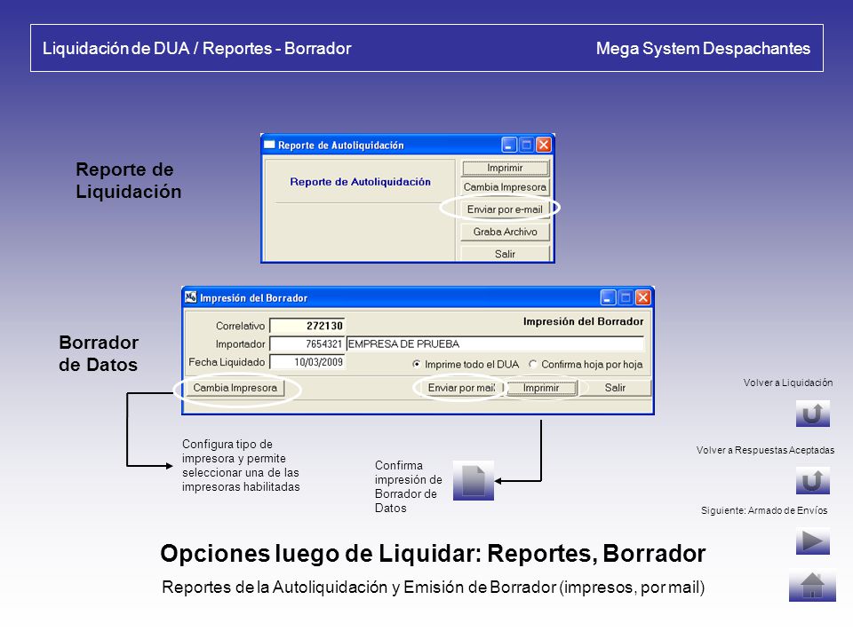 Liquidación de DUA / Reportes - Borrador Mega System Despachantes