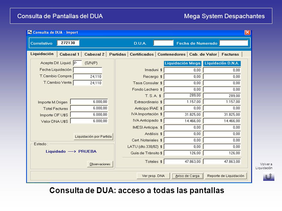 Consulta de Pantallas del DUA Mega System Despachantes
