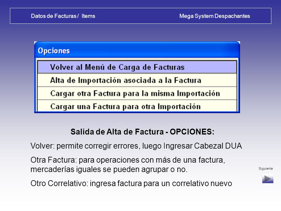 Datos de Facturas / Items Mega System Despachantes
