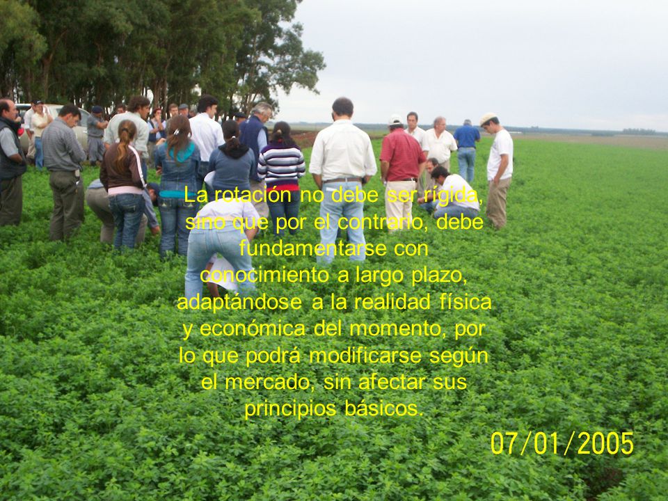 La rotación no debe ser rígida, sino que por el contrario, debe fundamentarse con conocimiento a largo plazo, adaptándose a la realidad física y económica del momento, por lo que podrá modificarse según el mercado, sin afectar sus principios básicos.
