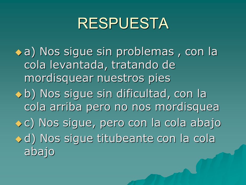 RESPUESTA a) Nos sigue sin problemas , con la cola levantada, tratando de mordisquear nuestros pies.