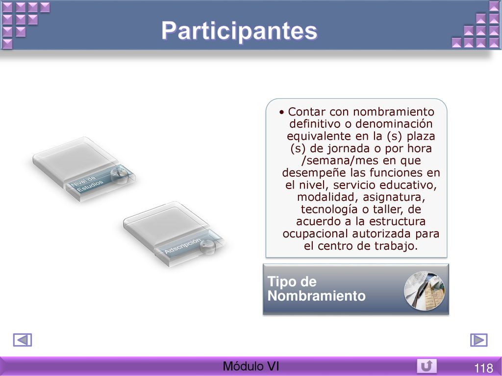 Participantes Tipo de Nombramiento Módulo VI 118
