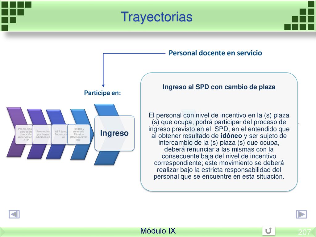 Trayectorias Personal docente en servicio Ingreso Módulo IX 207