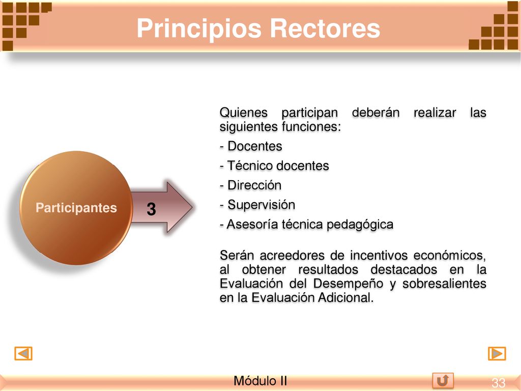 Principios Rectores Quienes participan deberán realizar las siguientes funciones: - Docentes. - Técnico docentes.