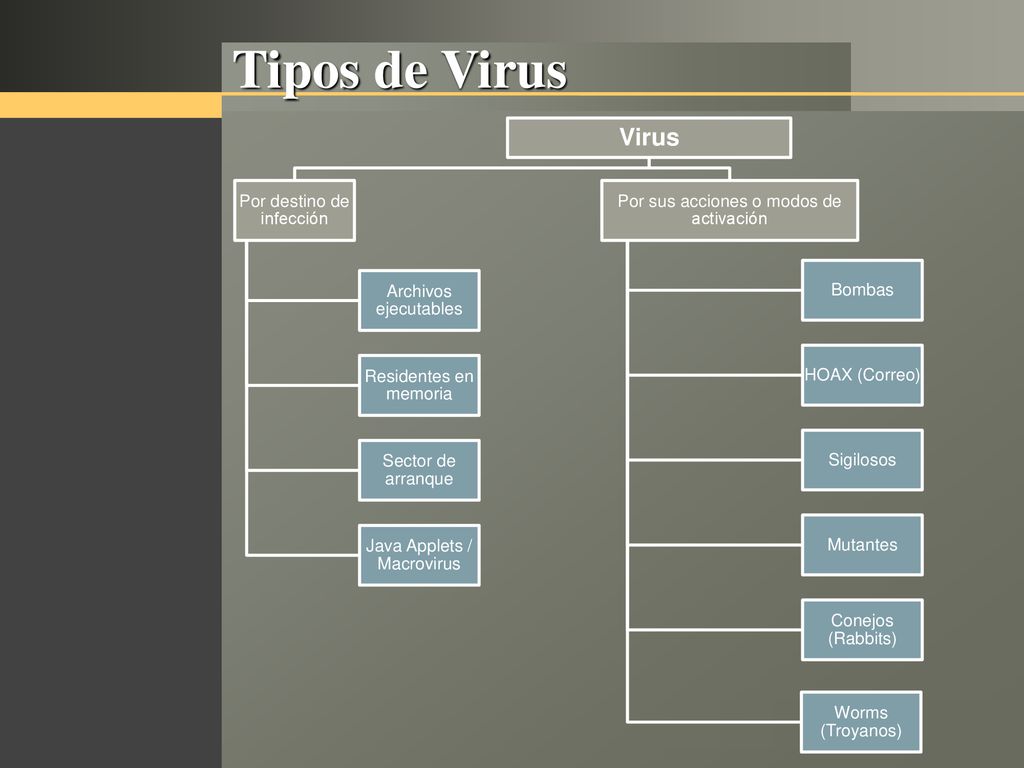 Tipos de Virus Virus Por destino de infección Archivos ejecutables