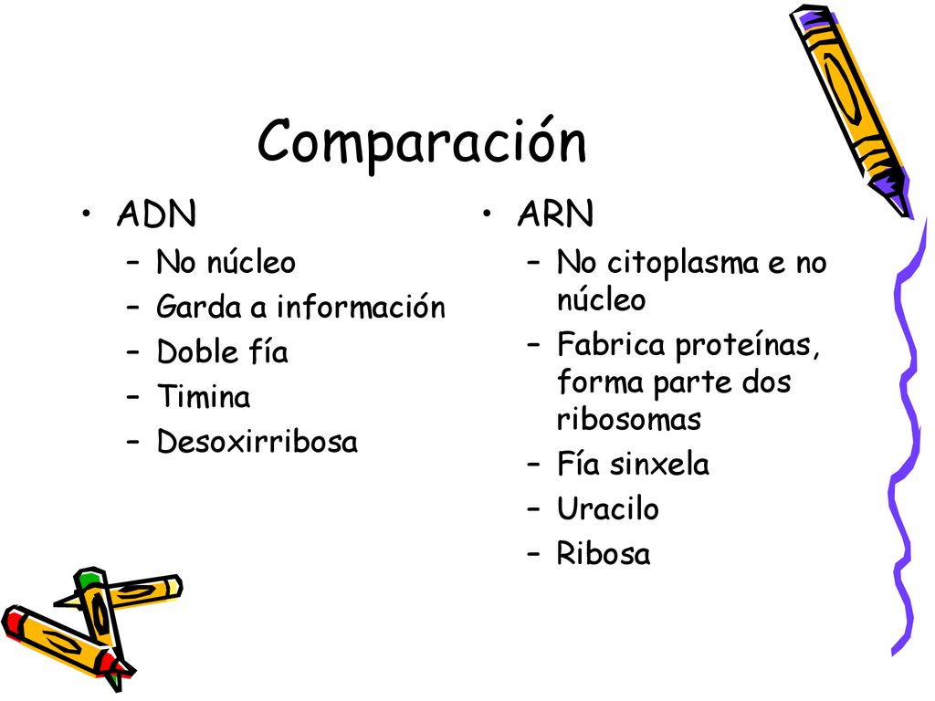 Comparación ADN ARN No núcleo Garda a información Doble fía Timina