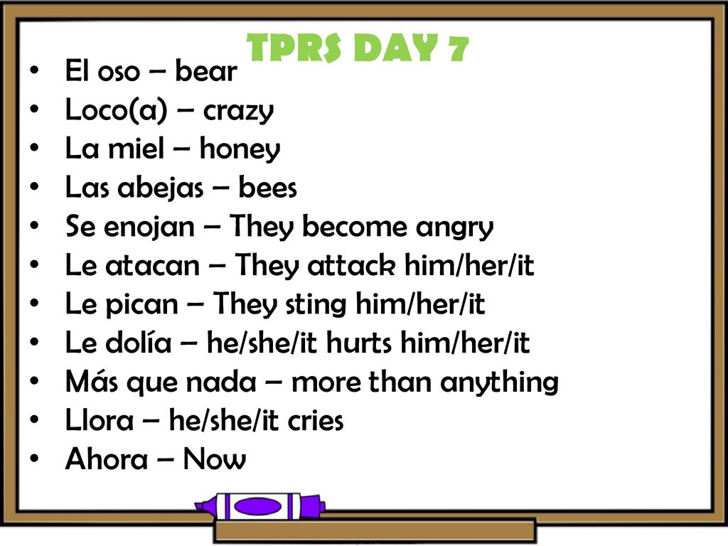 TPRS DAY 7 El oso – bear Loco(a) – crazy La miel – honey