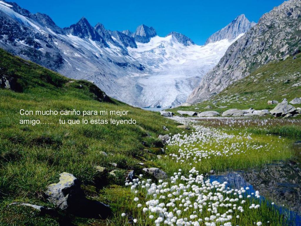Con mucho cariño para mi mejor amigo…… tu que lo estas leyendo