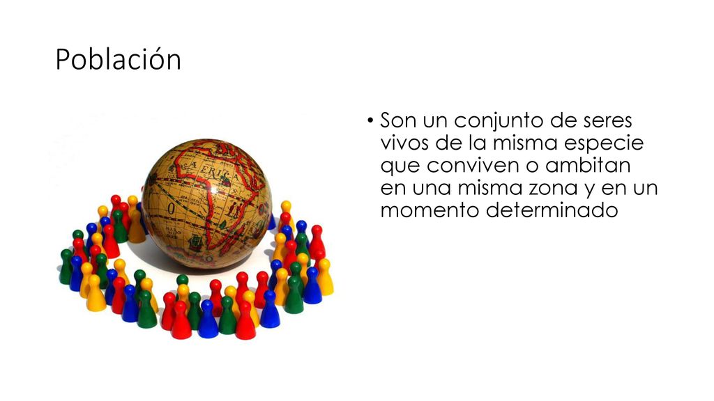 Población Son un conjunto de seres vivos de la misma especie que conviven o ambitan en una misma zona y en un momento determinado.