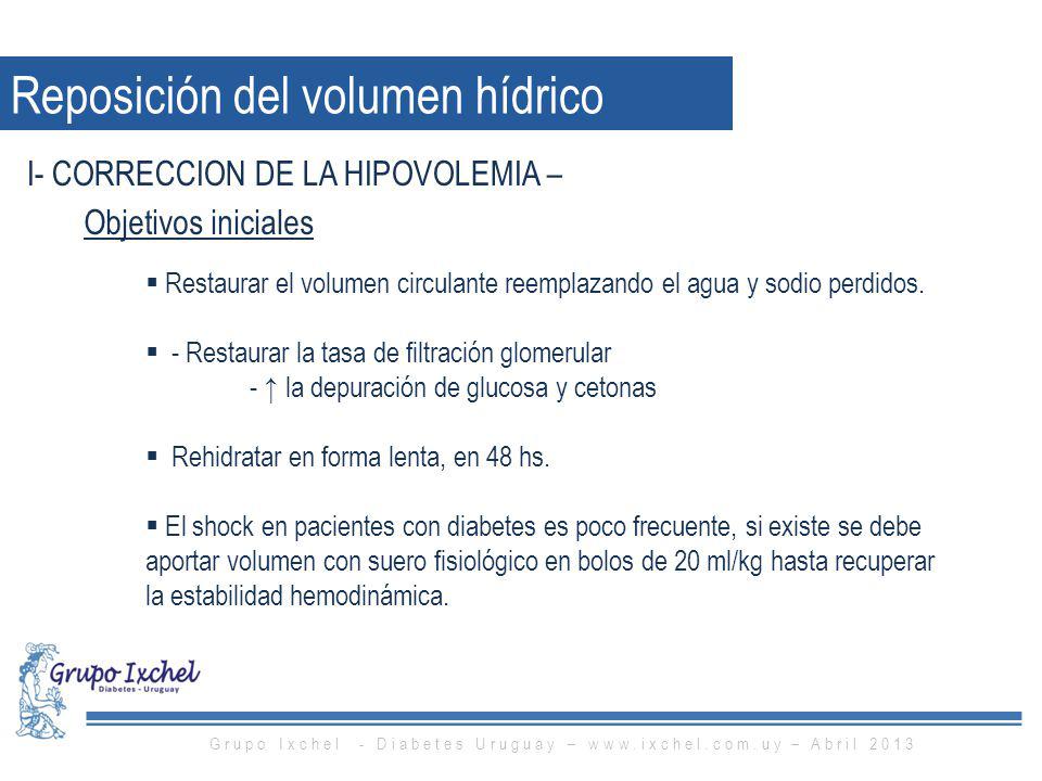 Grupo Ixchel - Diabetes Uruguay –   – Abril 2013