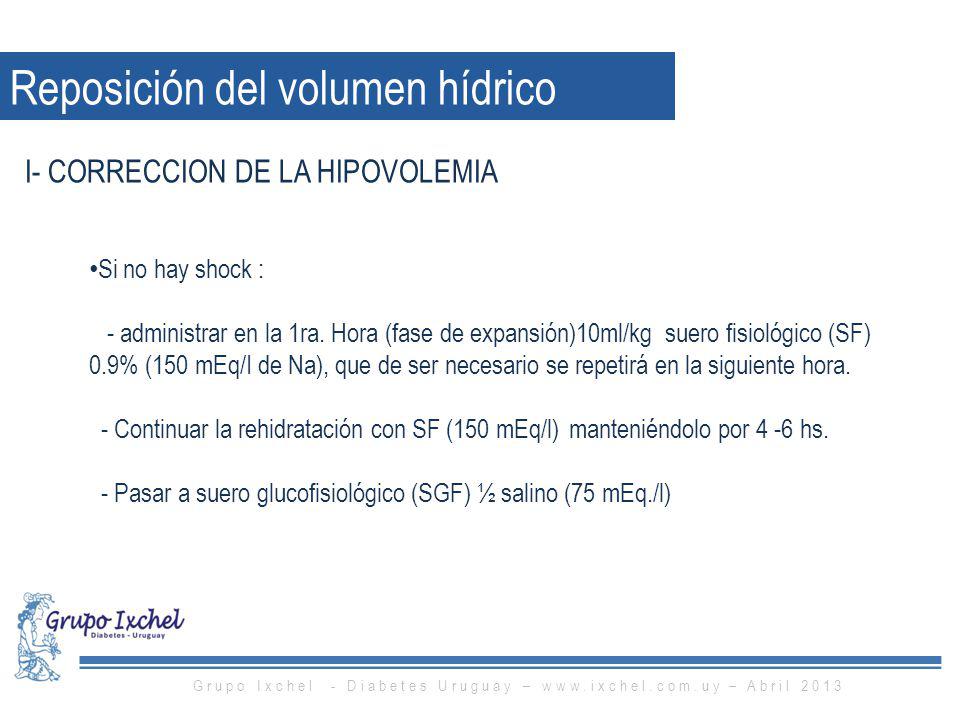 Grupo Ixchel - Diabetes Uruguay –   – Abril 2013
