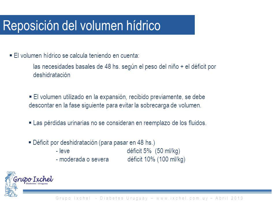 Grupo Ixchel - Diabetes Uruguay –   – Abril 2013