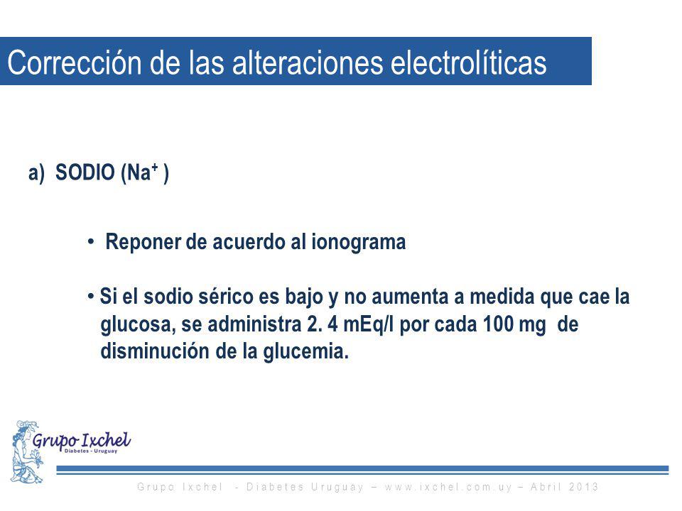 Grupo Ixchel - Diabetes Uruguay –   – Abril 2013