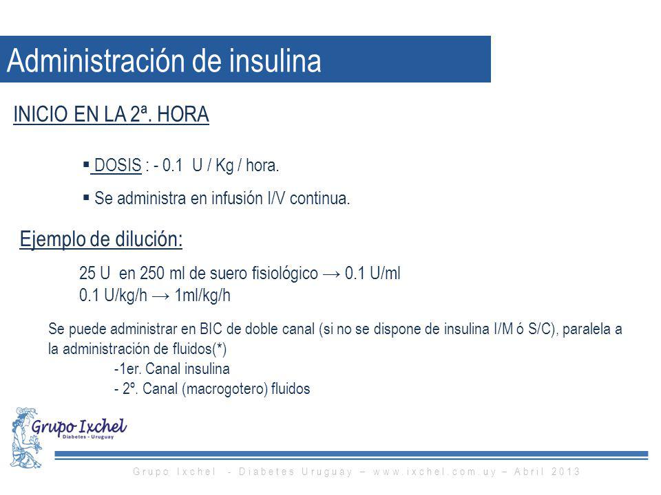 Grupo Ixchel - Diabetes Uruguay –   – Abril 2013