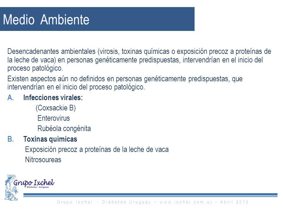 Grupo Ixchel - Diabetes Uruguay –   – Abril 2013