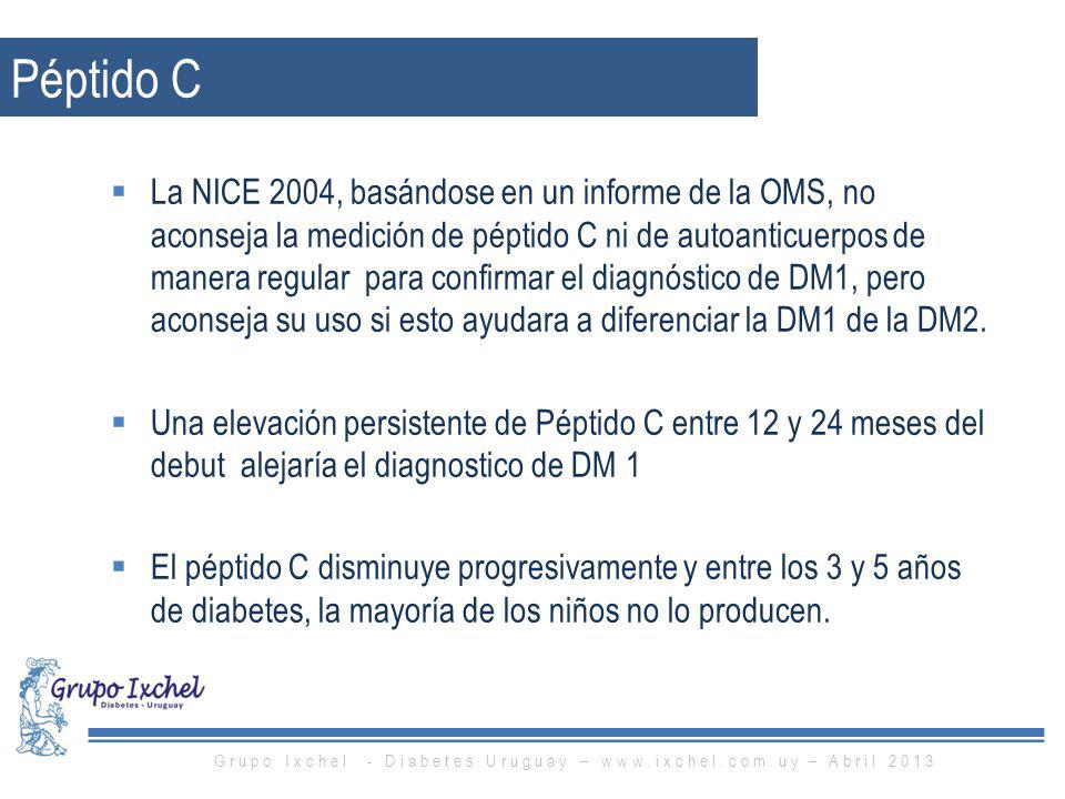Grupo Ixchel - Diabetes Uruguay –   – Abril 2013