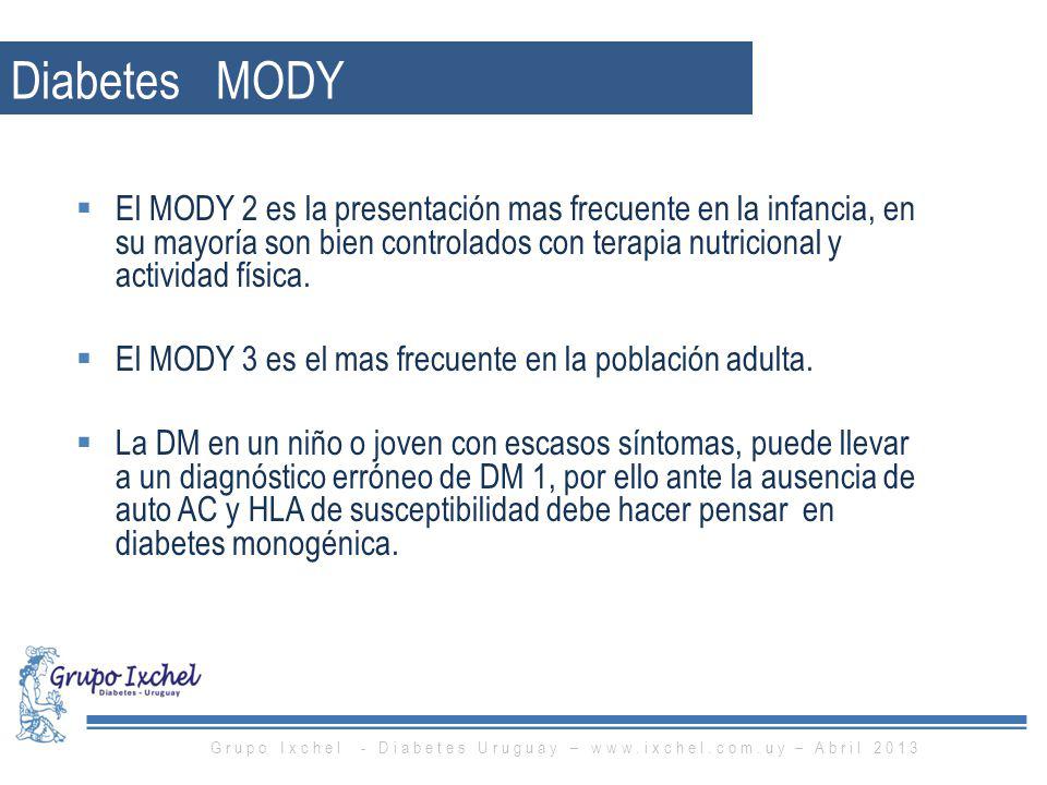 Grupo Ixchel - Diabetes Uruguay –   – Abril 2013