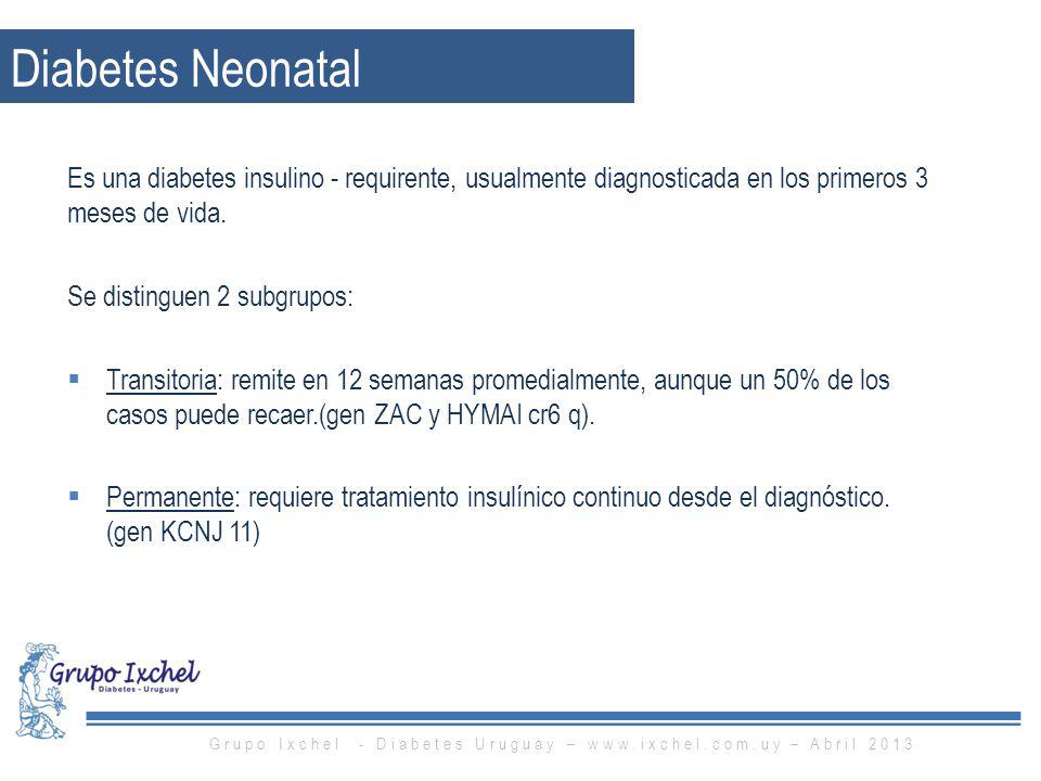 Grupo Ixchel - Diabetes Uruguay –   – Abril 2013