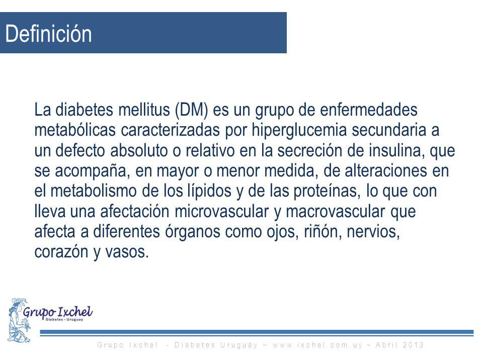 Grupo Ixchel - Diabetes Uruguay –   – Abril 2013