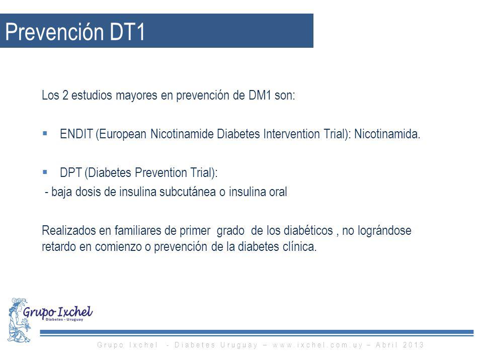 Grupo Ixchel - Diabetes Uruguay –   – Abril 2013