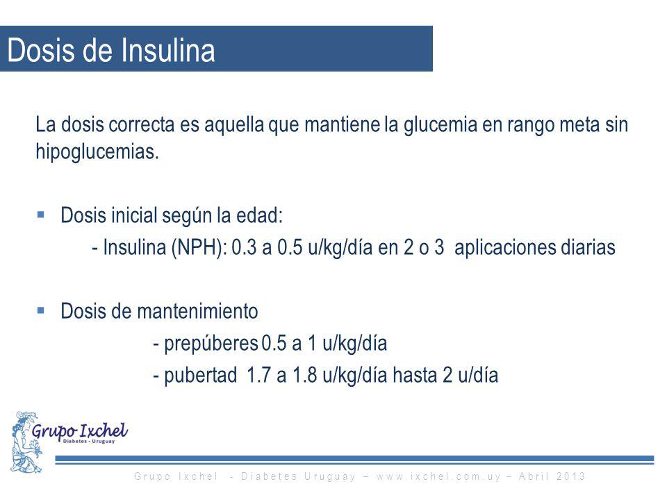 Grupo Ixchel - Diabetes Uruguay –   – Abril 2013