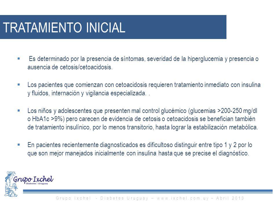 Grupo Ixchel - Diabetes Uruguay –   – Abril 2013