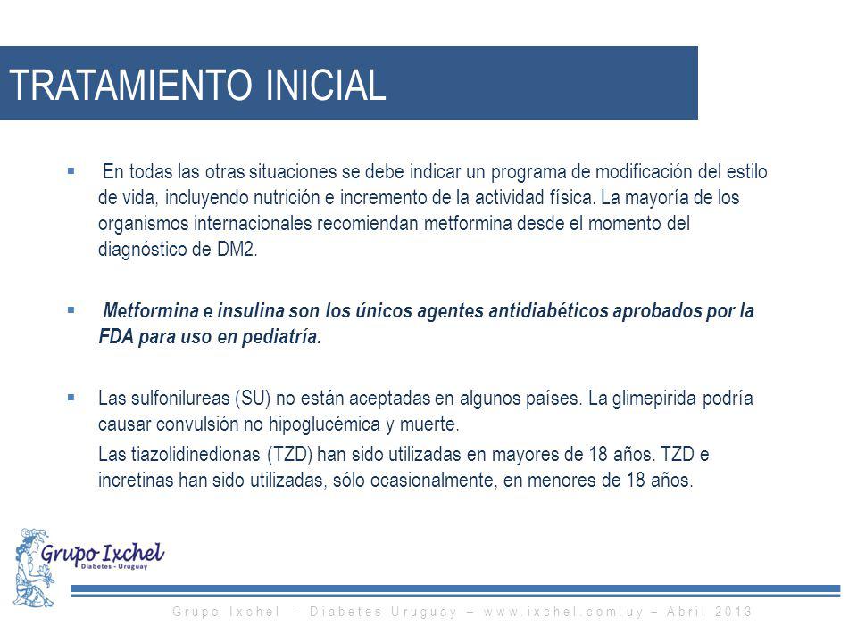 Grupo Ixchel - Diabetes Uruguay –   – Abril 2013